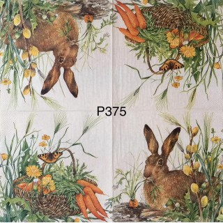 Decorative Napkins P375