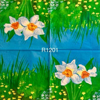 Decorative Napkins R1201
