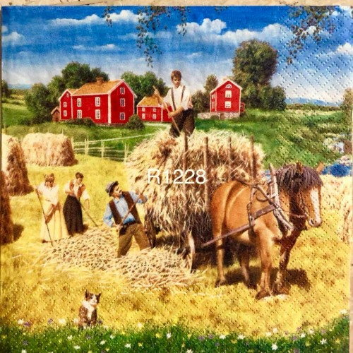 Decorative Napkins R1228