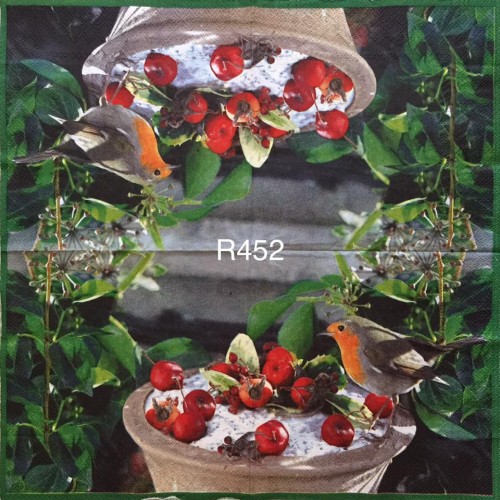 Decorative Napkins R452