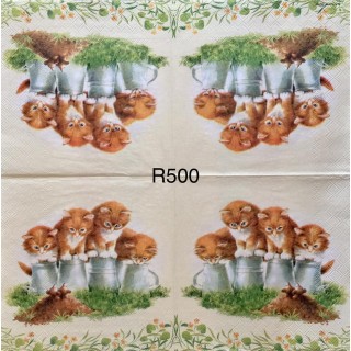 Decorative Napkins R500