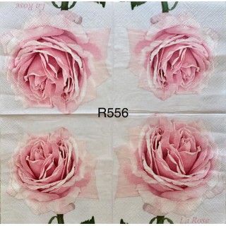 Decorative Napkins R556