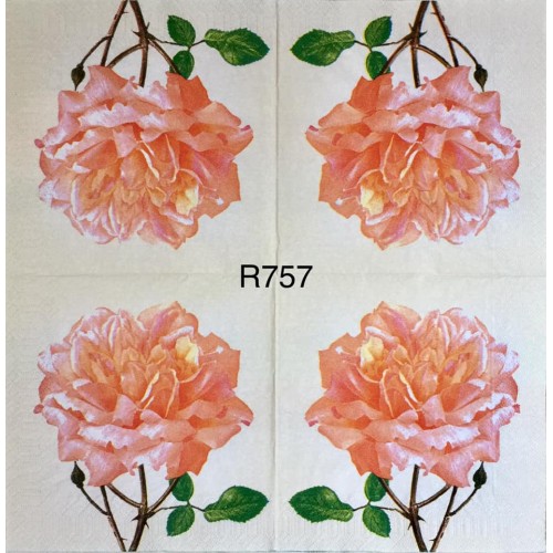 Decorative Napkins R757