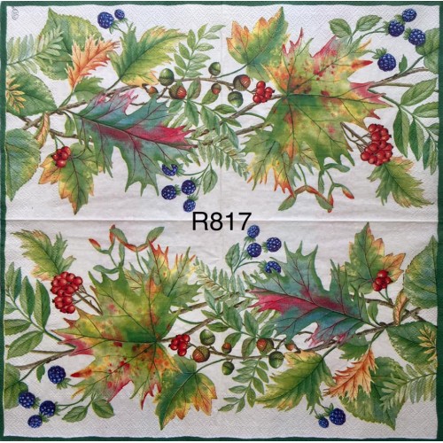 Decorative Napkins R817