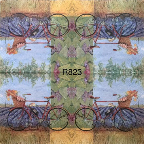 Decorative Napkins R823