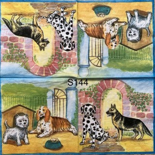 Decorative Napkins S144