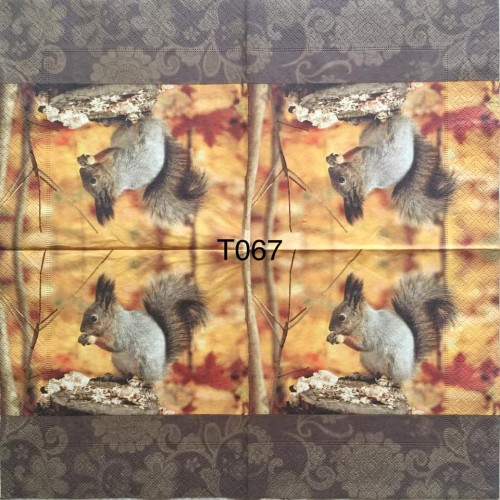 Decorative Napkins T067