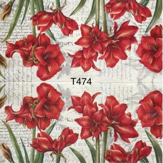 Decorative Napkins T474